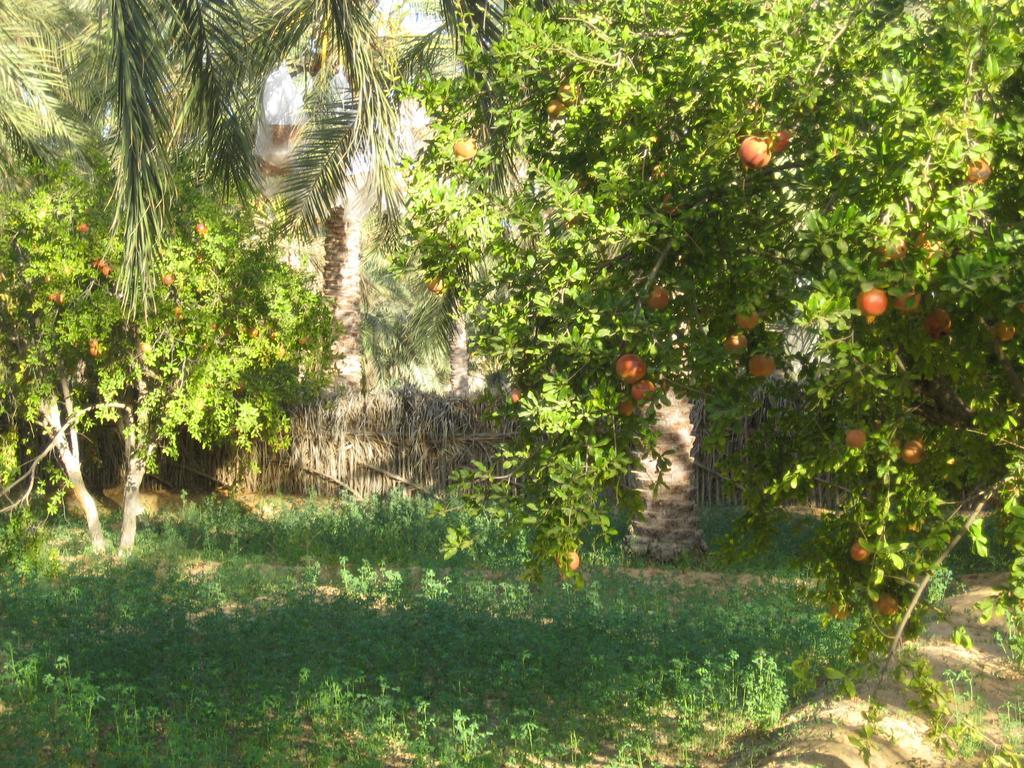 Maison Proche De Désert Douz Esterno foto